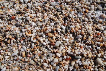 pebble