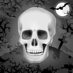 Skull Background