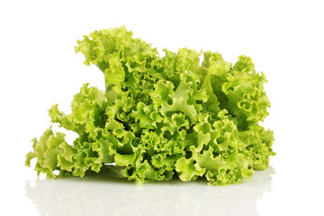 lettuce isolated on white