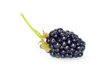 blackberry