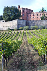Fototapeta na wymiar Toscana, Chianti: il Castello di Brolio
