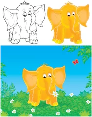 Poster Elefantenkalb © Alexey Bannykh