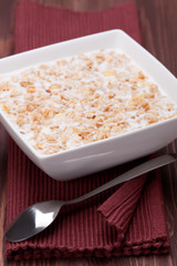 Cereal Breakfast