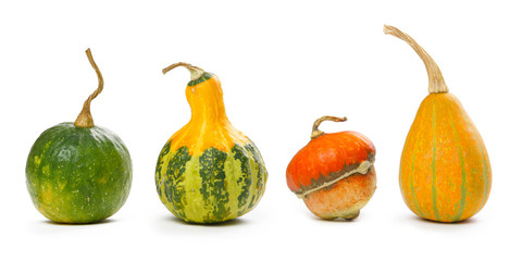 Decorative pumpkins