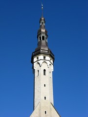 Fototapeta na wymiar Kirche in Tallinn / Estland