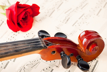 Violin on notes