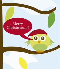 bird with christmas hat