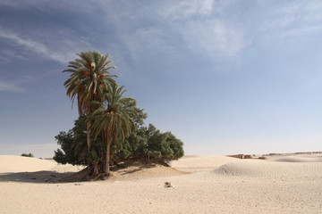 D&eacute;sert de Douz