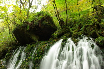湧水（伏流水）