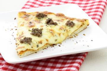 meat pizza slice