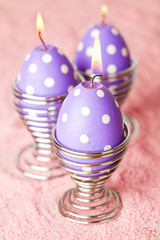 Obraz premium Easter eggs