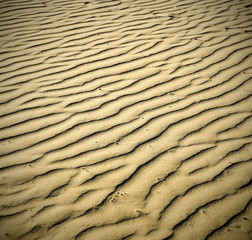 evening puckered texture of sand desert