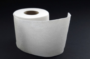 roll of toilet paper