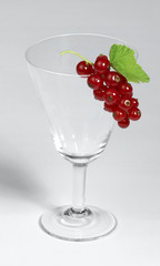 Redcurrant and glass