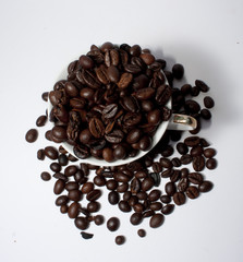 coffe cup
