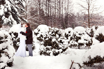 bride and groom kissin in a winter forest