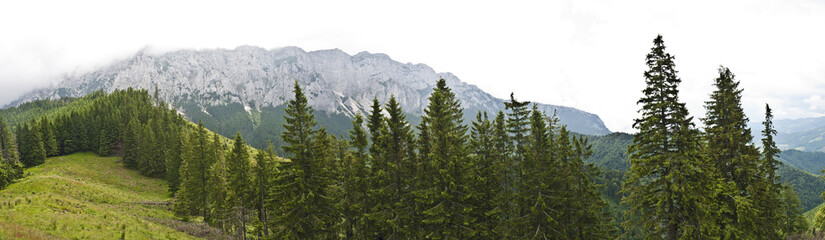 Fototapeta premium Panorama background in Carpathians. Beautiful mountains and land
