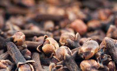The cloves