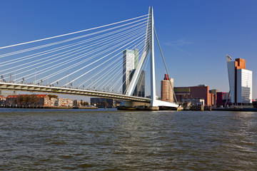 Erasmus Bridge at Rotterdam