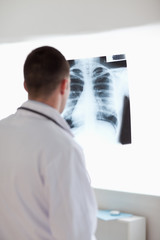 Fototapeta premium Doctor using light to check x-ray