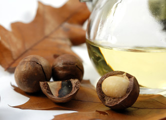 MacadamiaÖl