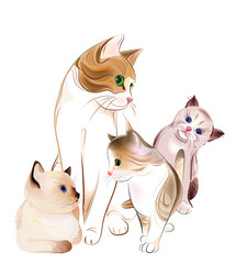 happy ñats family. Cat and  kittens. - 36371048