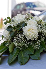 Schleierkraut mit Rosen