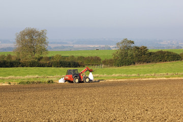 agricultural scene