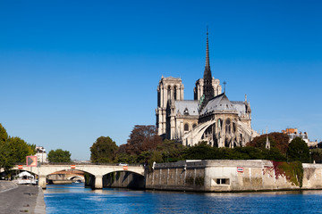 Cathédrale Notre Dame de Paris, France - obrazy, fototapety, plakaty