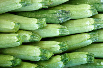 Freshly picked zucchini