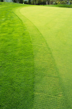 Golf course