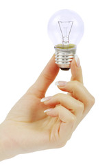 hand holding bulb