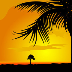 palm and tree in dsert illustration