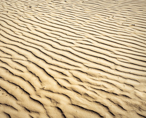 puckered texture of sand beach