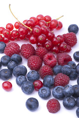 frutti di bosco