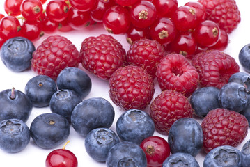 frutti di bosco 2