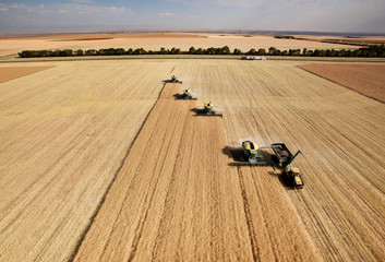 Naklejka premium Aerial View of Harvest