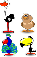 вектор птиц