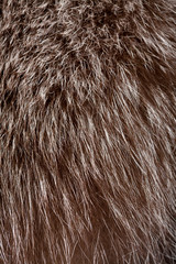 Naklejka premium abstract fur background