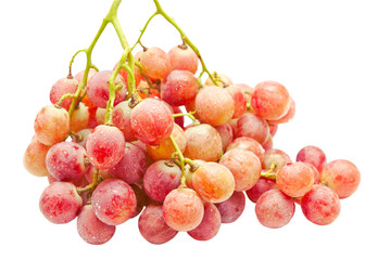 grapes isolated on white background
