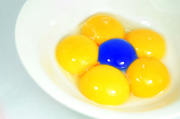 Eggs