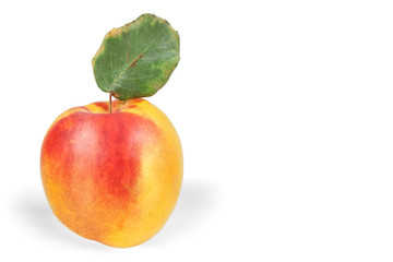 Fototapeta na wymiar Peach on a white background