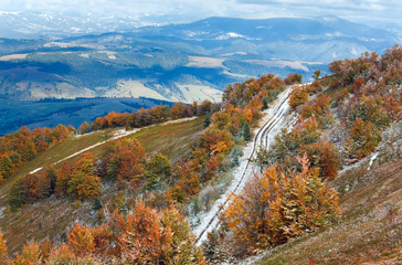 First winter snow and autumn colorful foliage on mountain