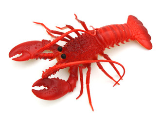 Homard en plastique