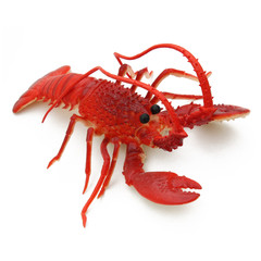 Homard en plastique