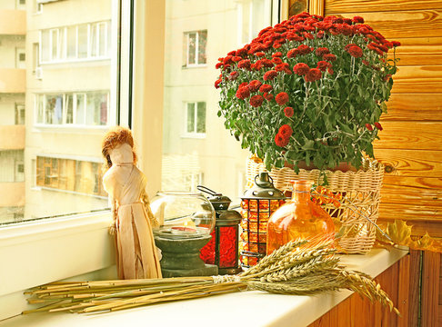 autumn registration of balcony