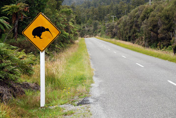 kiwi crossing
