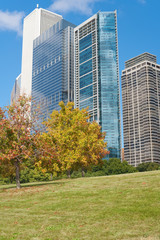 Obraz premium Autumn in Chicago