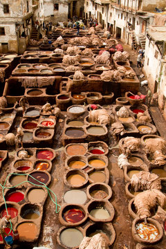 Morocco, Fez, Tannery 