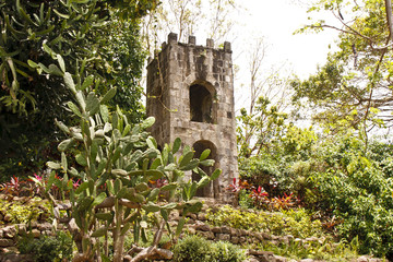 Stone Column in Jungle with Arches